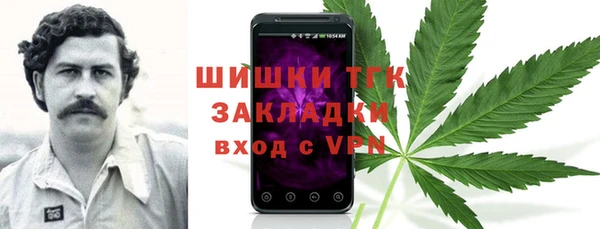стаф Арсеньев