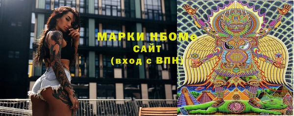 стаф Арсеньев