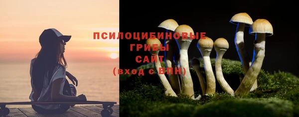 прущий лед Аркадак
