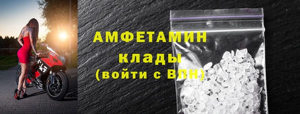 стаф Арсеньев
