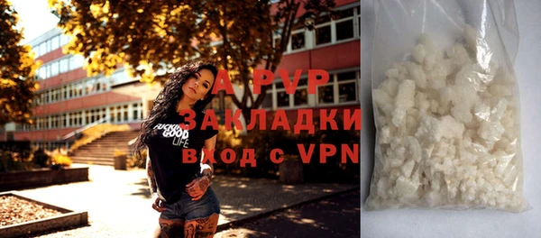 стаф Арсеньев
