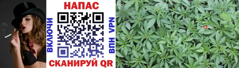 Канабис Bruce Banner Белая Холуница